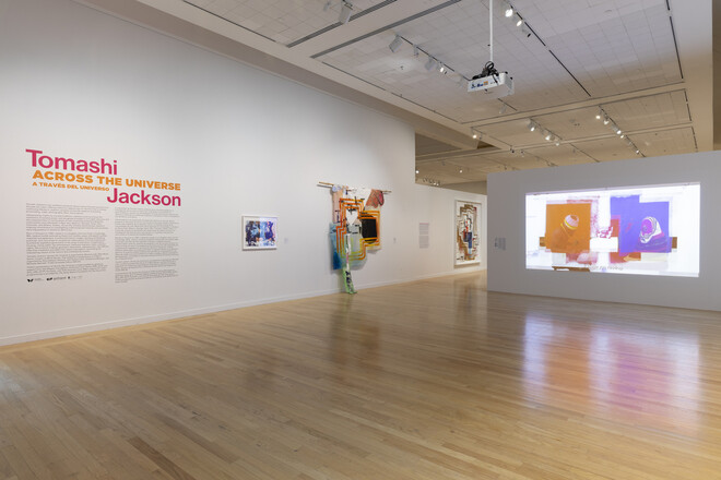Fig01_installation view - intro